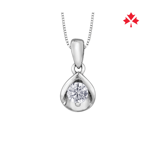 10kt White Gold 0.10ct Canadian Diamond Drop Pendant