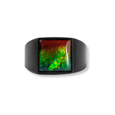 Midnight Ammolite Ring in Matte Black Titanium