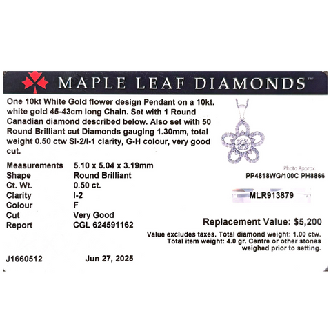 10kt White Gold 1.00cttw Canadian Diamond Flower Pendant