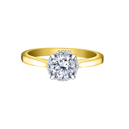 14kt Two-Tone Round 0.82cttw Canadian Diamond Hidden Halo Engagement Ring