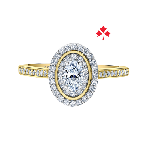 14kt Two-Tone Gold 0.61cttw Canadian Diamond Round Double Halo Engagement Ring