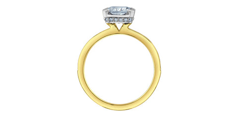 14kt Yellow Gold 2.34cttw Radiant Cut Canadian Diamond Half Bezel Hidden Halo Engagement Ring (Copy)