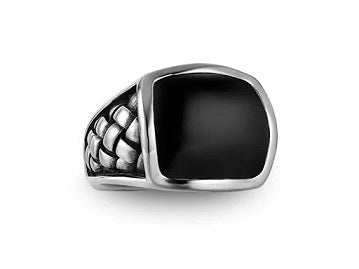 Stainless Steel Black Onyx Men's Ring